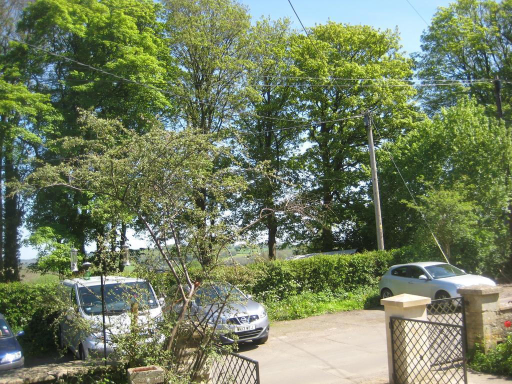 Box  Prospect Cottage מראה חיצוני תמונה